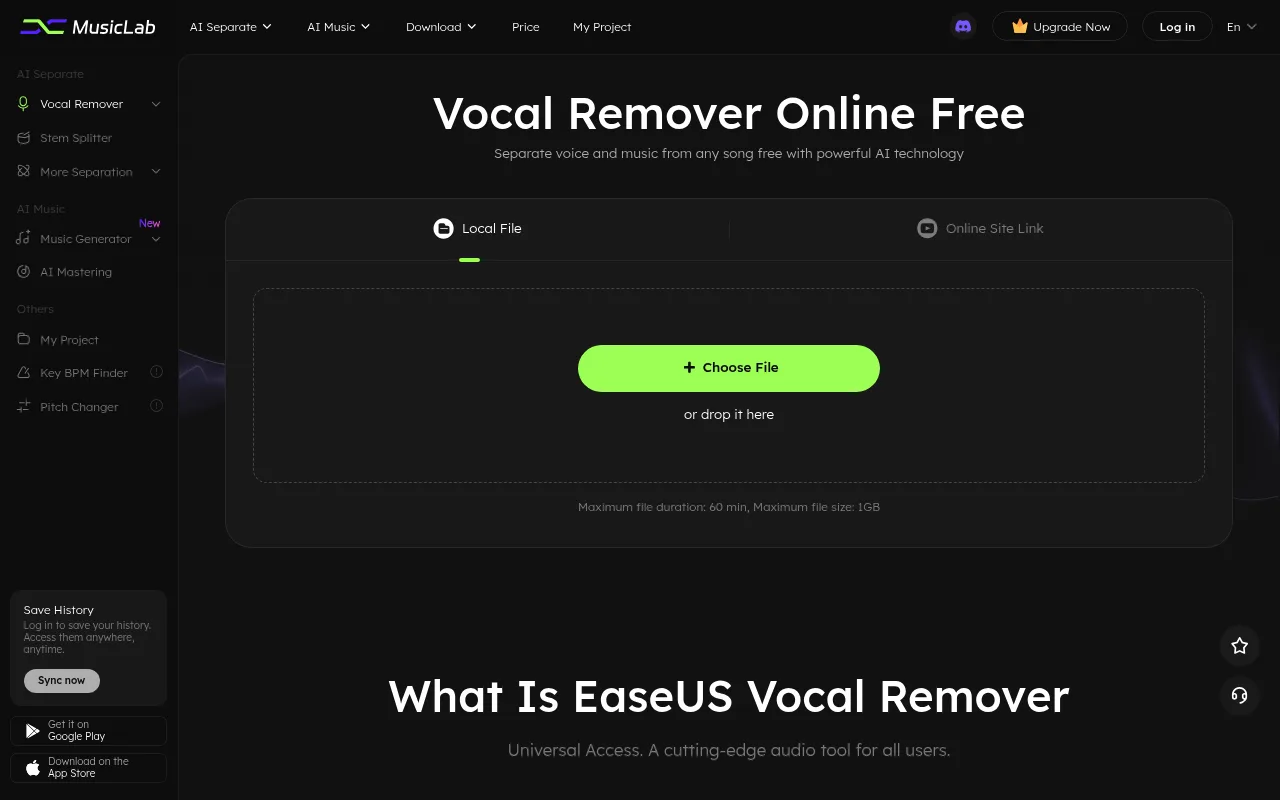 Náhled nástroje EaseUS Online Vocal Remover