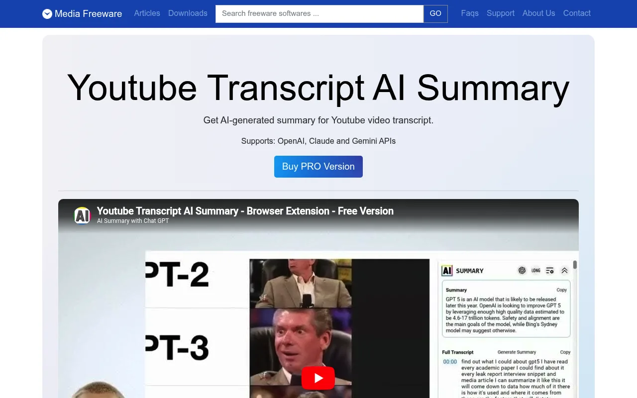 Náhled nástroje Youtube Transcript AI Summary